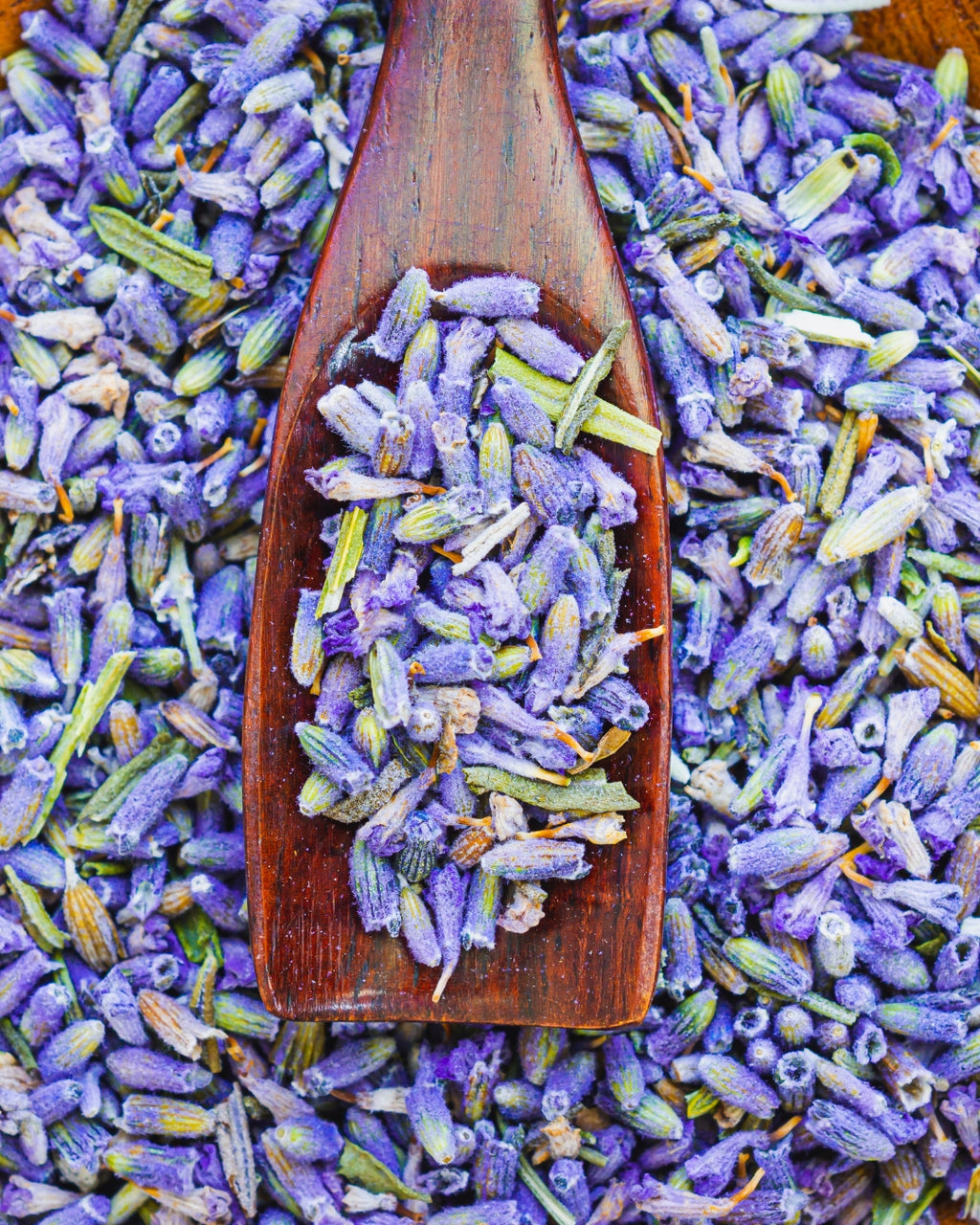 Golden Calm - Lavender & Turmeric - House of Amayra - 12 Sticks