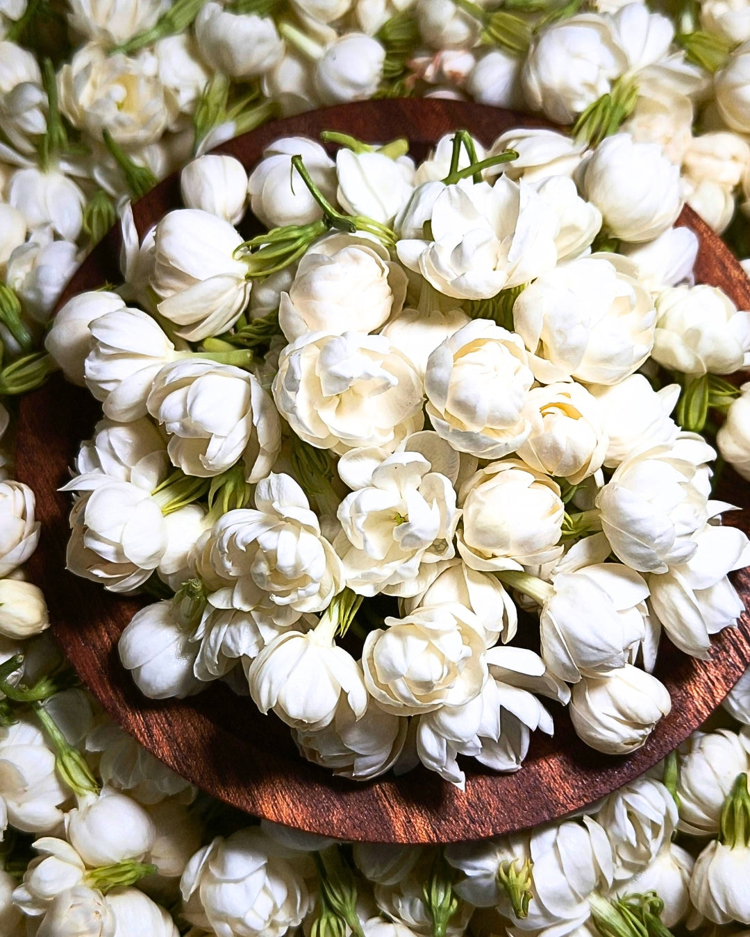 After Midnight Incense Sticks - Tuberose - House of Amayra - 12 Sticks