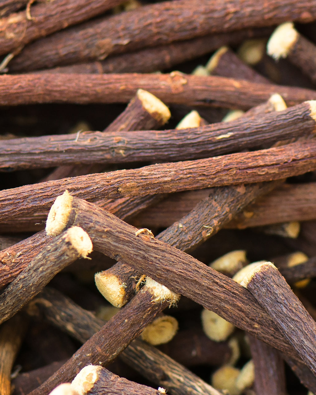 Weight of Earth Incense Sticks - Vetiver - House of Amayra - 12 Sticks