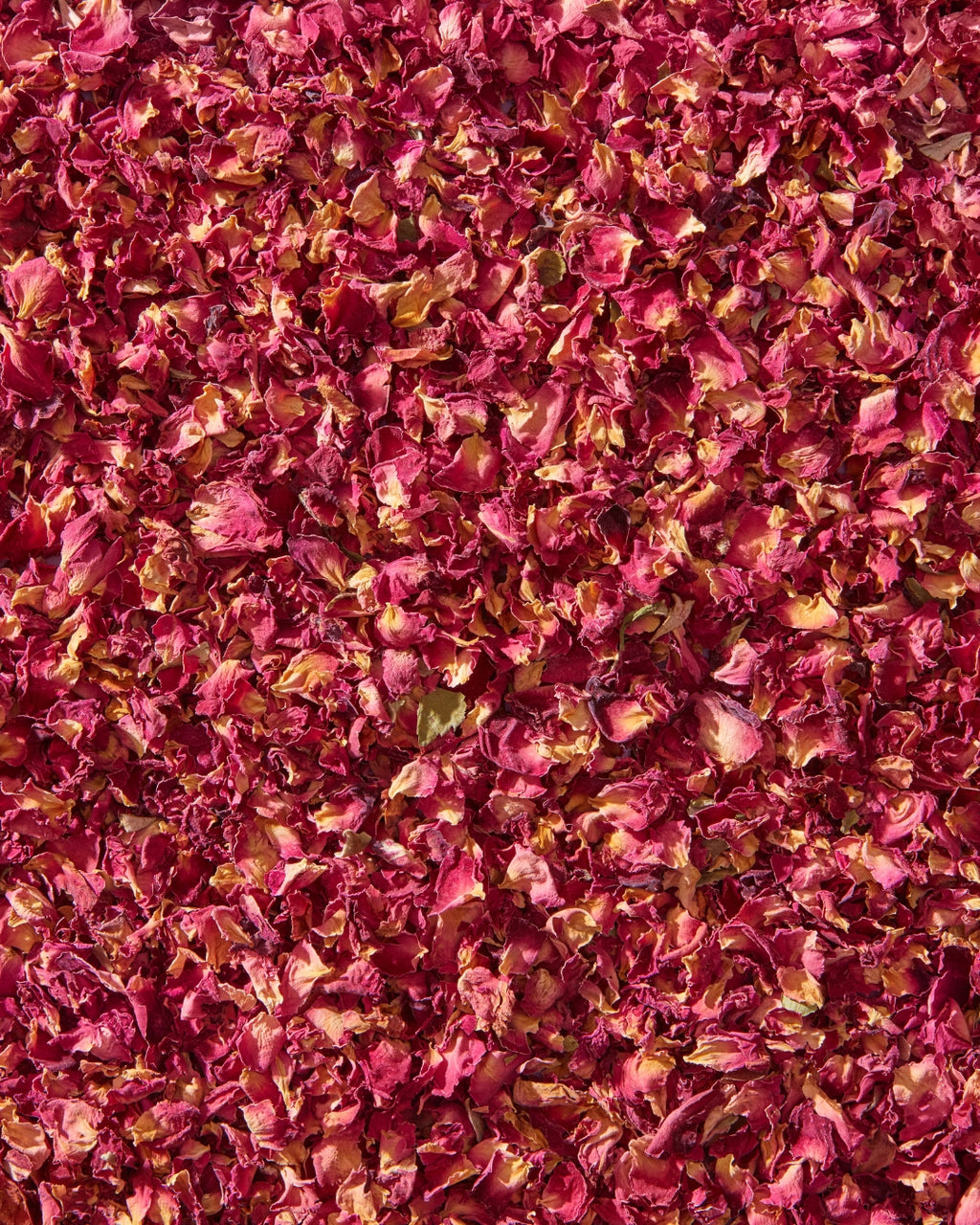 The Potion of Love Incense Sticks - Himalayan Rose - House of Amayra - 12 Sticks