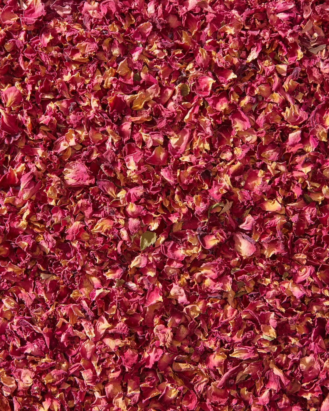 The Potion of Love Incense Sticks - Himalayan Rose - House of Amayra - 12 Sticks
