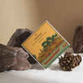 Varanasi Ayurvedic Incense Cones - Set of 20 cones