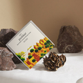 Pushkar Ayurvedic Incense Cones - Set of 20 cones