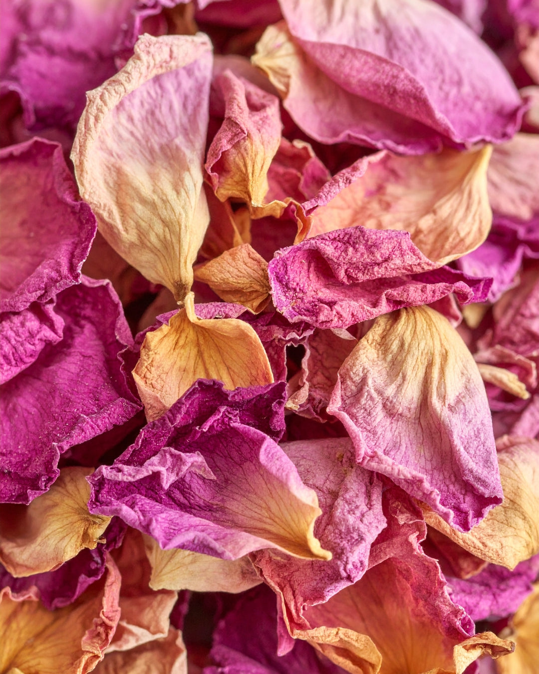 The Potion of Love Incense Sticks - Himalayan Rose - House of Amayra - 12 Sticks